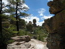 photo thumbnail #12