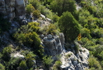 photo thumbnail #6