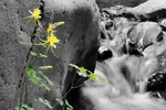 photo thumbnail #11