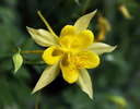 photo thumbnail #12