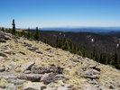 photo thumbnail #6