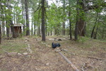 photo thumbnail #4