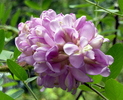 photo thumbnail #6