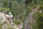 photo thumbnail #9