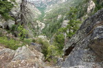 photo thumbnail #10