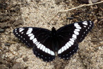 photo thumbnail #13