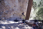 photo thumbnail #4
