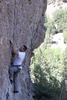 photo thumbnail #7