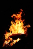photo thumbnail #13
