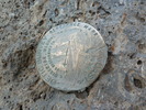 photo thumbnail #15