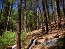 photo thumbnail #1