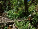 photo thumbnail #11