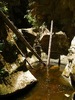 photo thumbnail #15