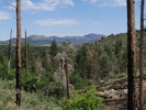 photo thumbnail #3