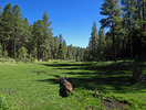 photo thumbnail #3