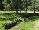 photo thumbnail #6