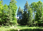 photo thumbnail #13