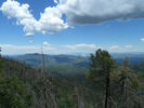 photo thumbnail #3