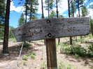 photo thumbnail #11