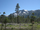 photo thumbnail #8