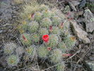 photo thumbnail #9