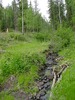 photo thumbnail #12