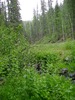 photo thumbnail #13