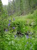photo thumbnail #14