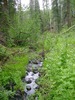 photo thumbnail #15