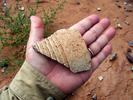 photo thumbnail #11
