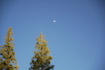 recent photo