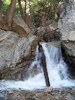 photo thumbnail #8