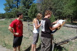 photo thumbnail #2