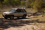 photo thumbnail #7