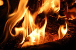 photo thumbnail #12