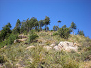 photo thumbnail #9