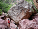 photo thumbnail #4