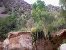 photo thumbnail #12