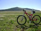 photo thumbnail #4