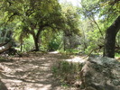 photo thumbnail #2