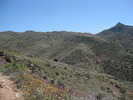 photo thumbnail #4