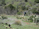 photo thumbnail #8
