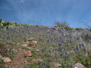 photo thumbnail #9