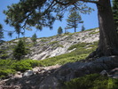 photo thumbnail #11