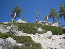 photo thumbnail #14