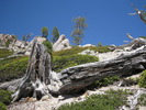 photo thumbnail #15