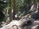 photo thumbnail #2