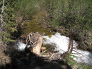 photo thumbnail #5