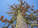 photo thumbnail #10