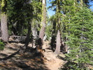 photo thumbnail #14